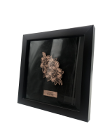 Bunga Raya Malaysia Premium Frame