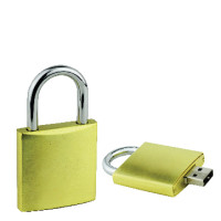 CGVDF1979-O Lock USB Flash Drive