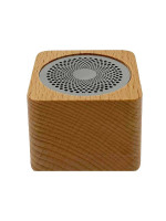 EGEP5382 Wooden Wireless Speaker