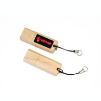 CGVDZC1860 Bamboo - USB Flash Drive Light LED