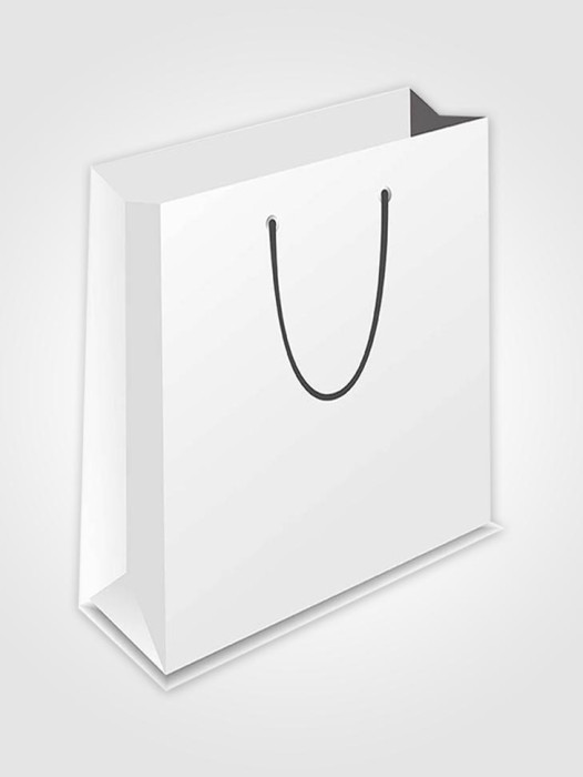 PP90003-PB3 Custom Paper Bag 250mm(L) X 95mm(W) X 350mm(H) 