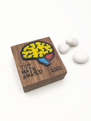TPW923024 Wooden Plaque Cube 