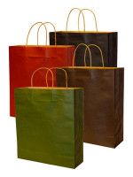 PPPR2453 Kraft Paper Bag 15cm(L) x 10cm(W) x 21cm(H)