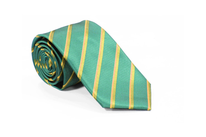 Brilliant Teal Emboidery Custom Neckties  