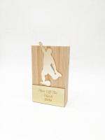TPW923016 Football Award Trophy